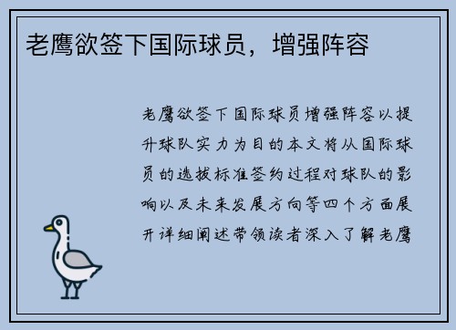 老鹰欲签下国际球员，增强阵容
